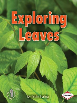 cover image of Exploring Leaves